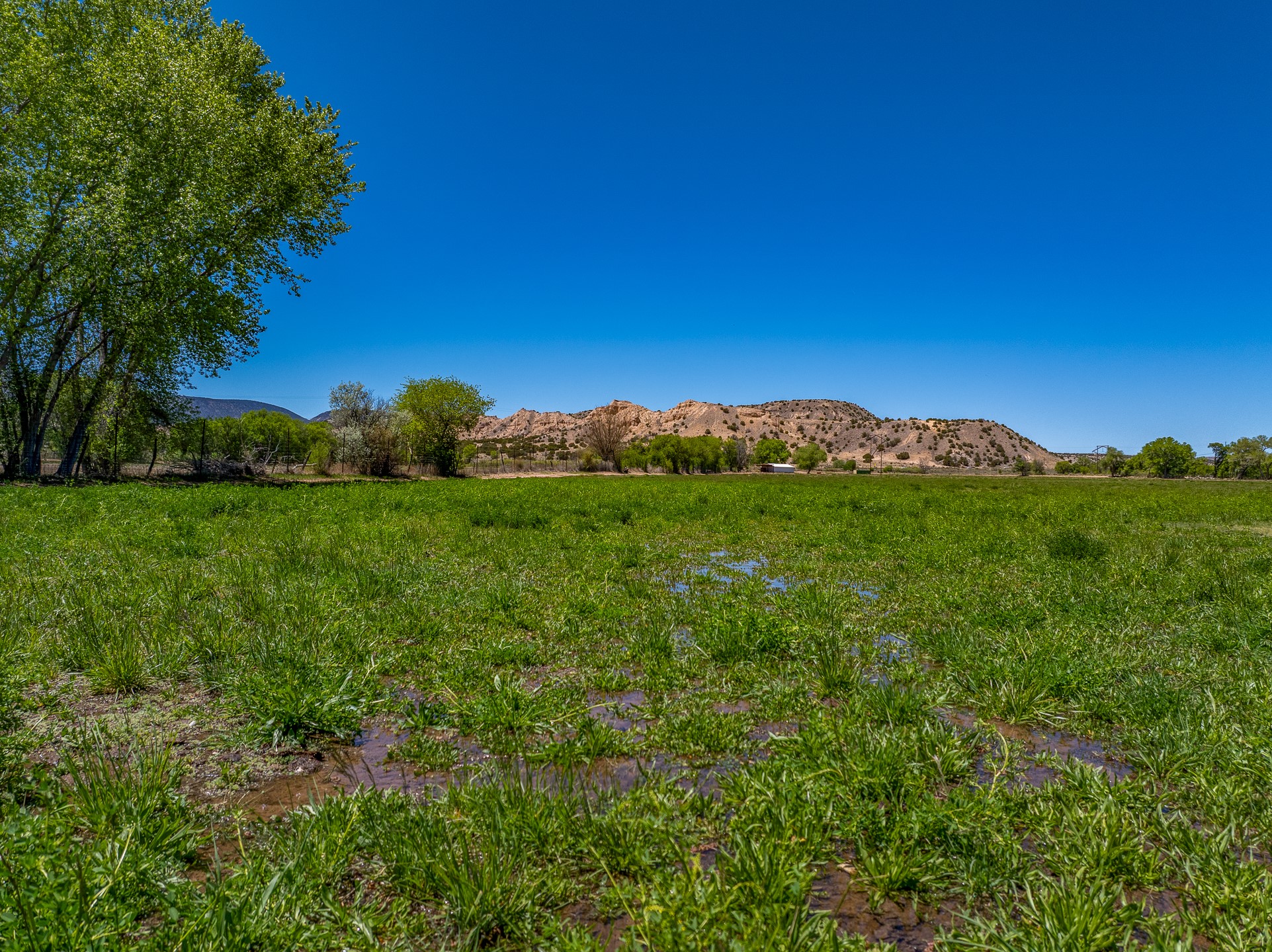 20590 US Hwy 84
