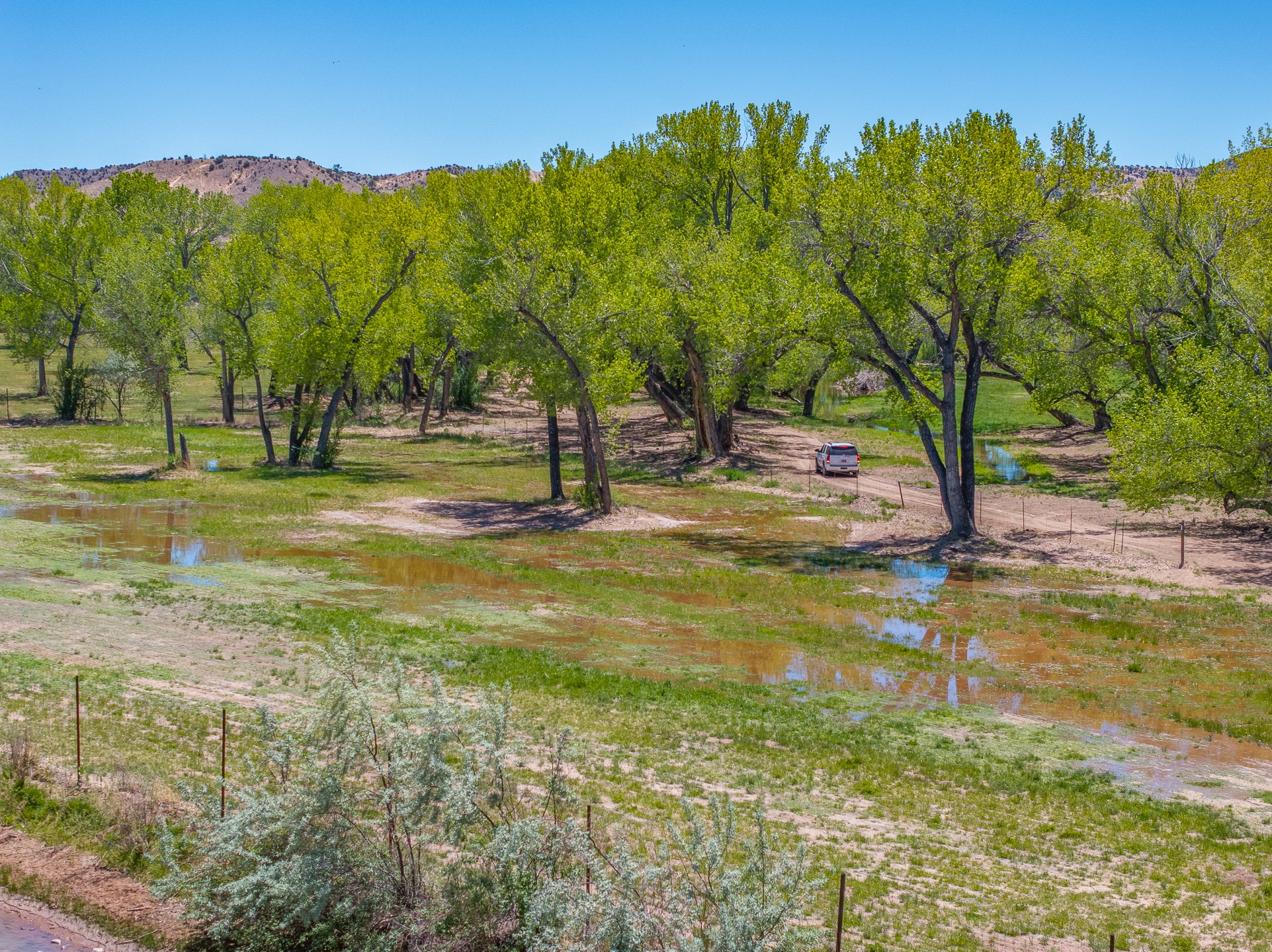20590 US Hwy 84