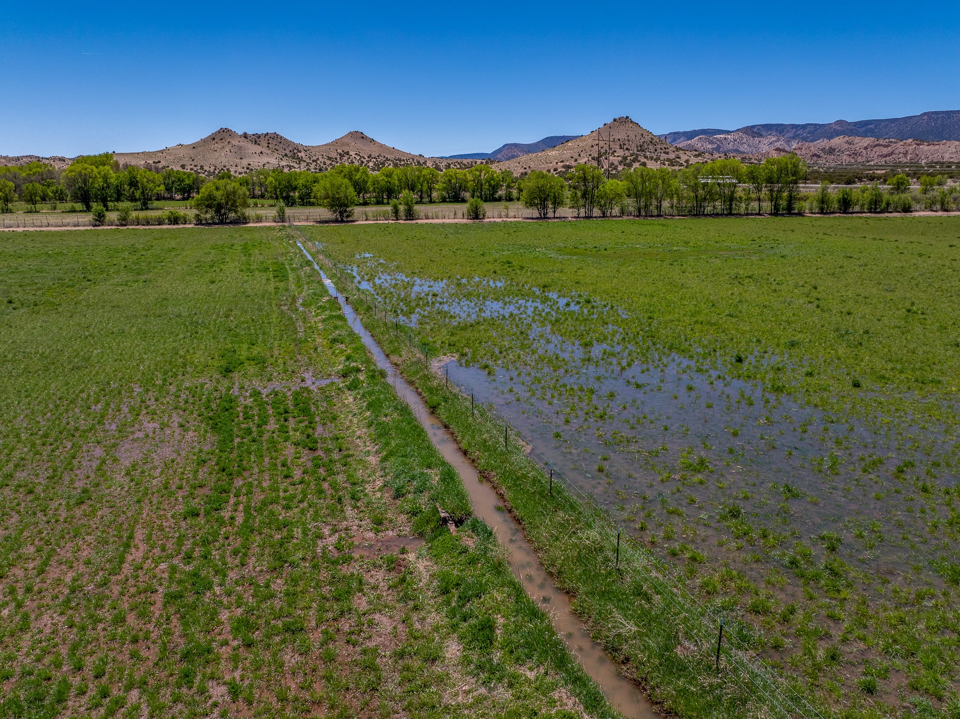 20590 US Hwy 84