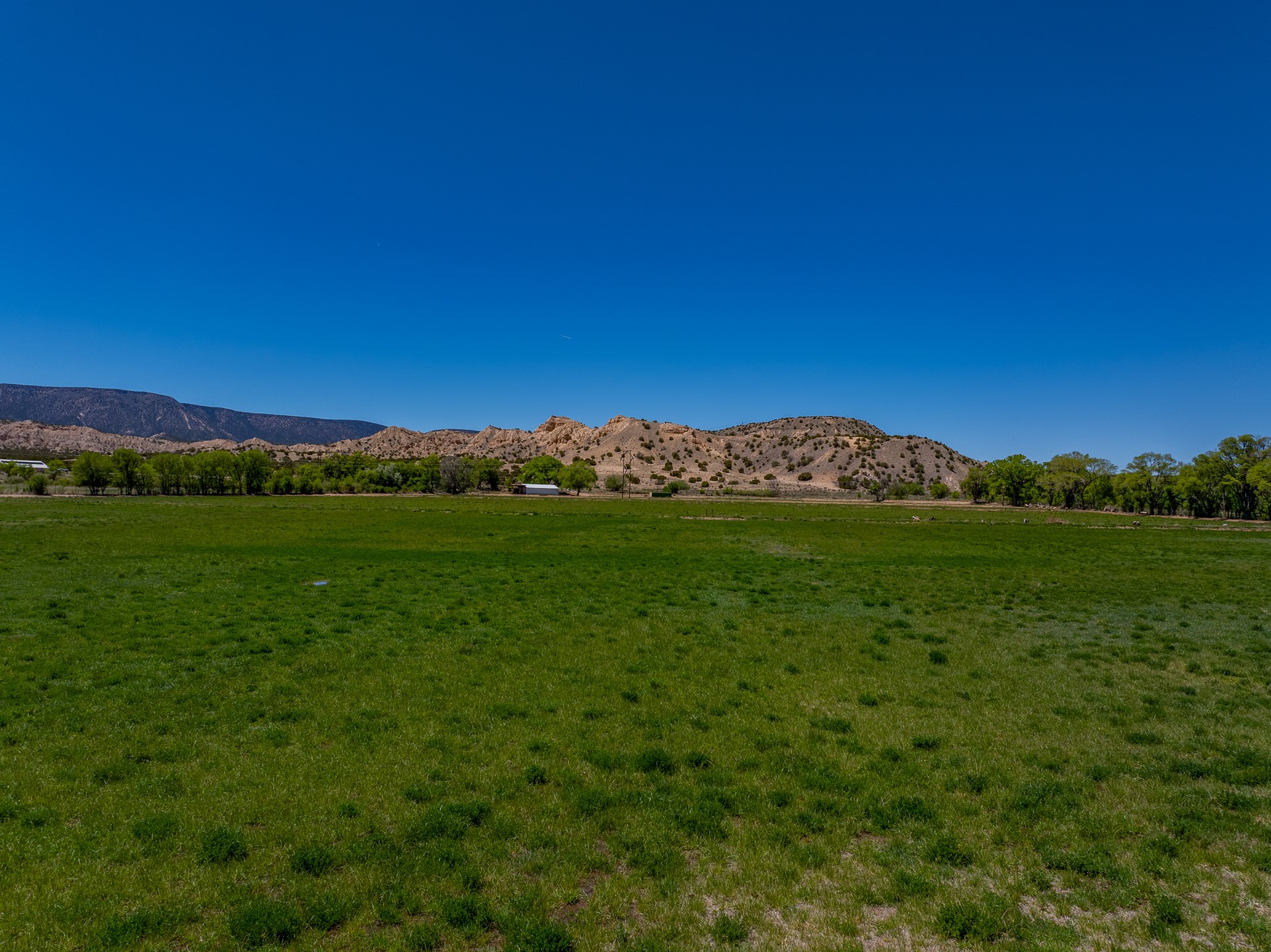 20590 US Hwy 84