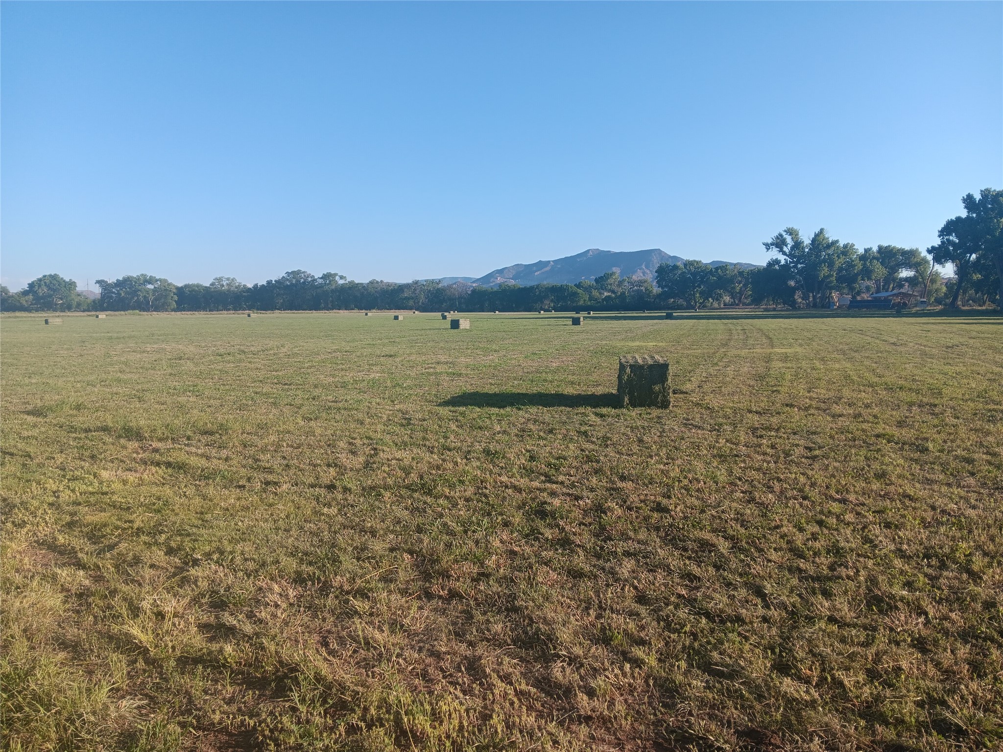 20590 US Hwy 84