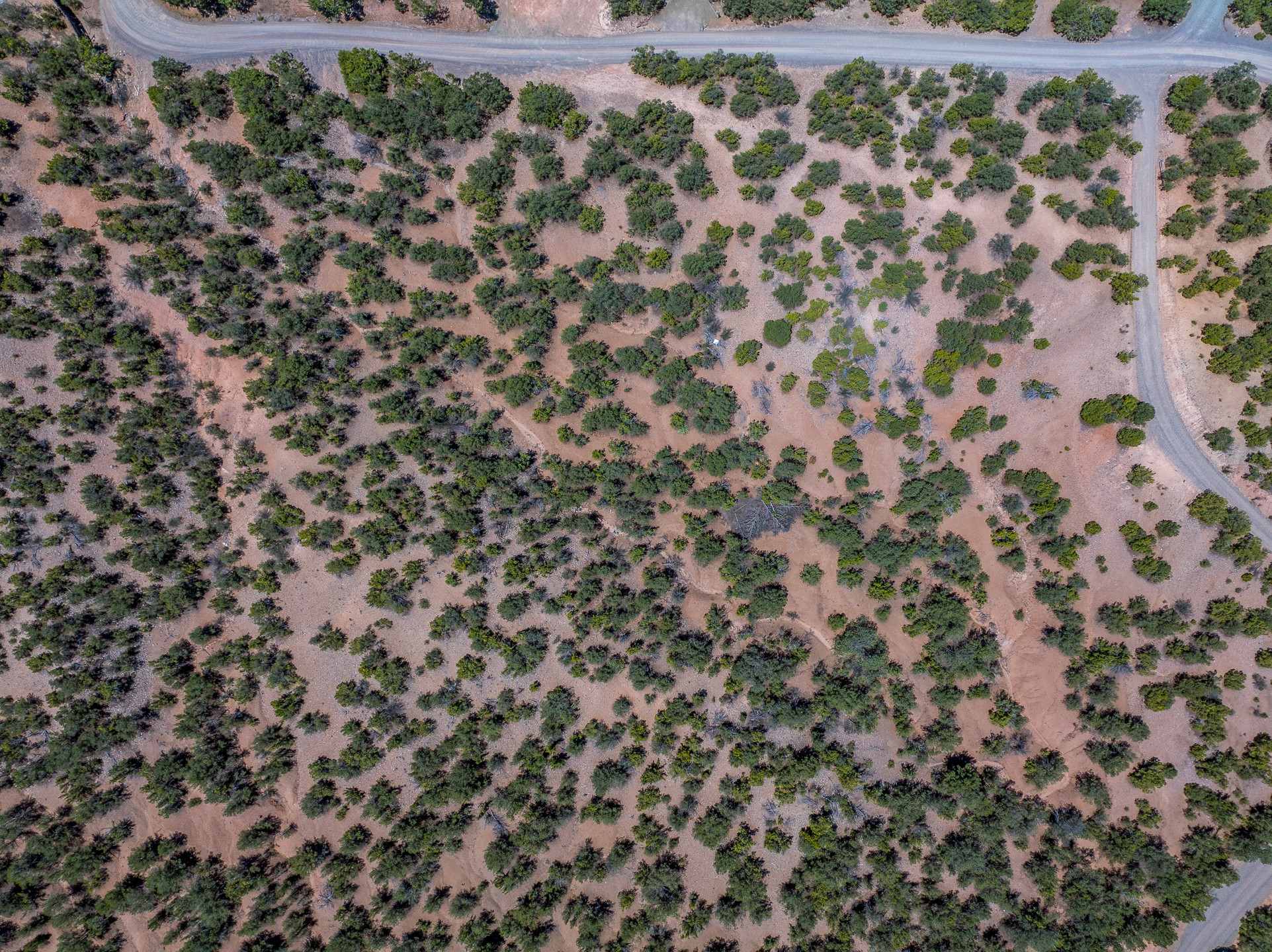 0 Loma Serena