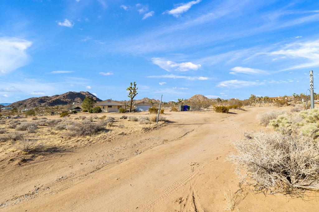 63466 Single Tree Road