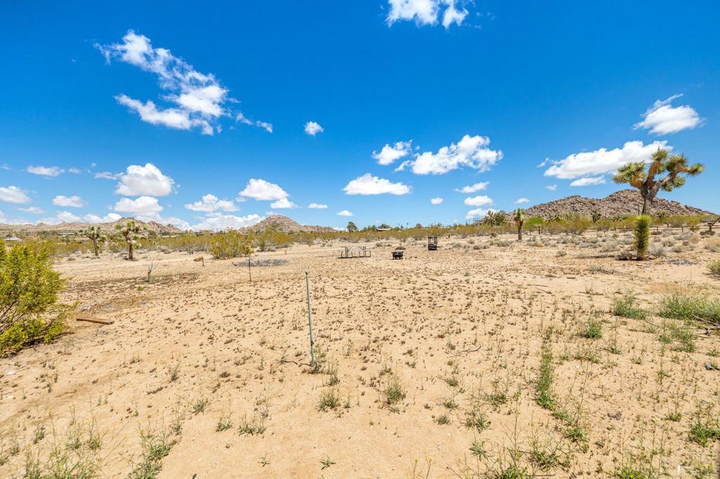 63466 Single Tree Road