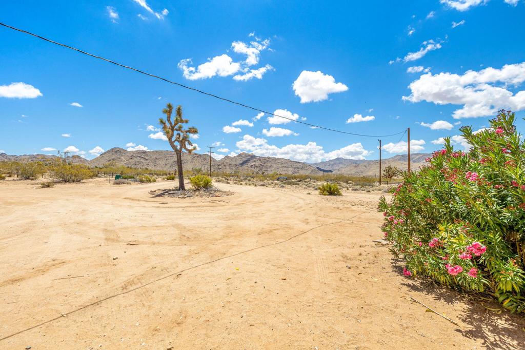 63466 Single Tree Road