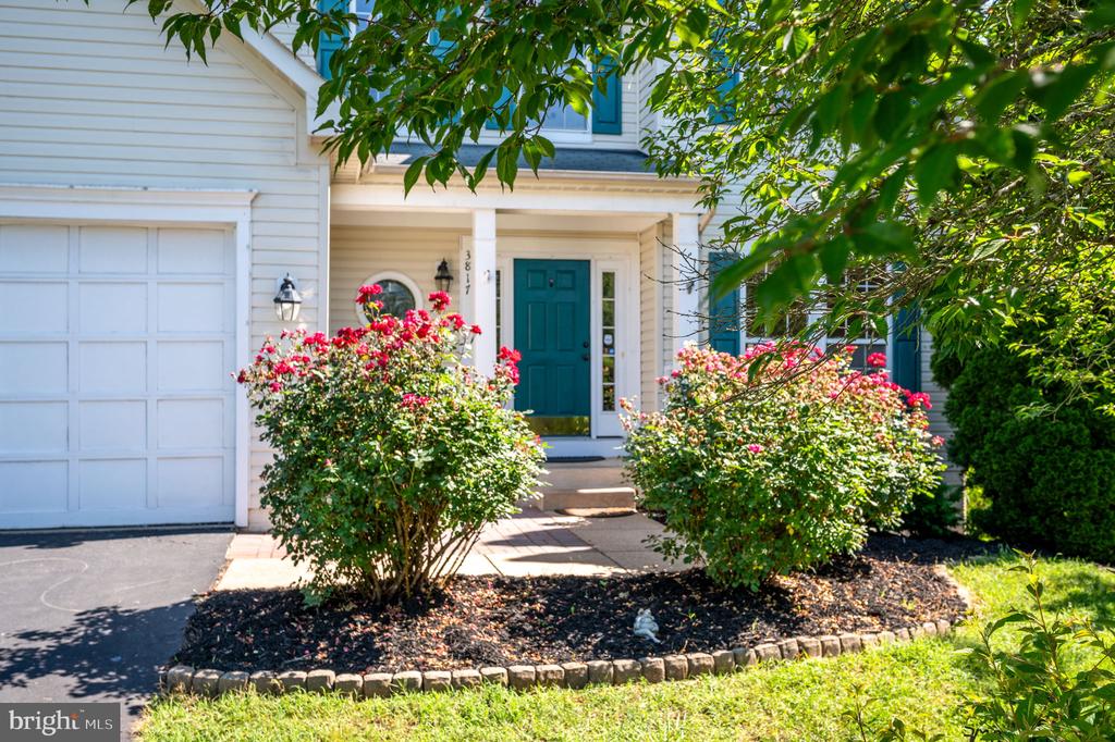3817 CARLYLE COURT