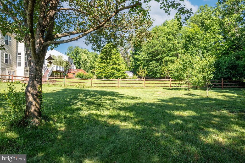 3817 CARLYLE COURT