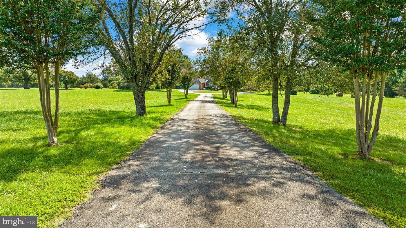 7536 CHANCELLOR ROAD