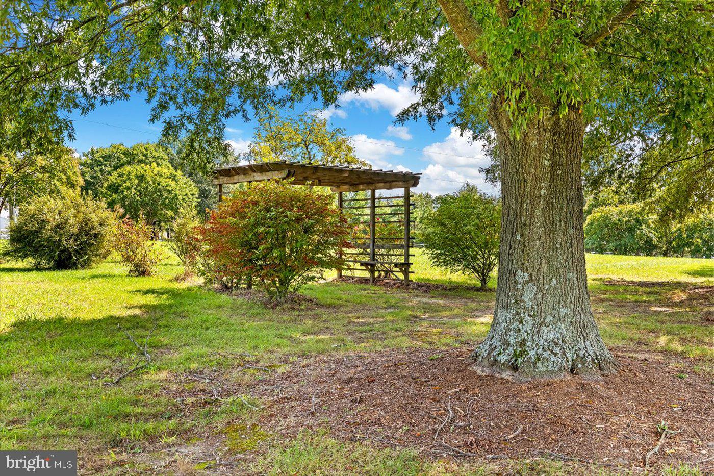 7536 CHANCELLOR ROAD