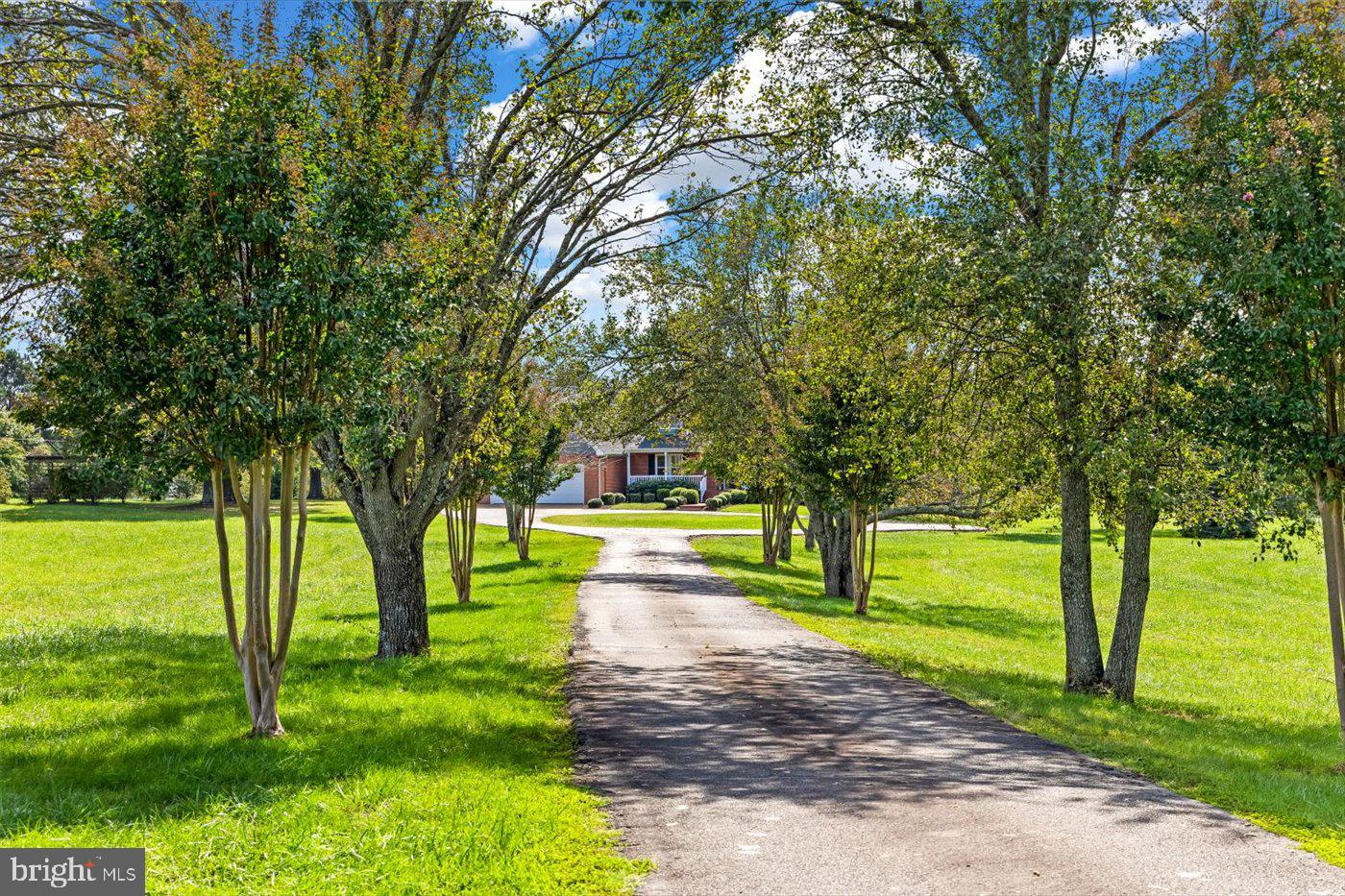 7536 CHANCELLOR ROAD