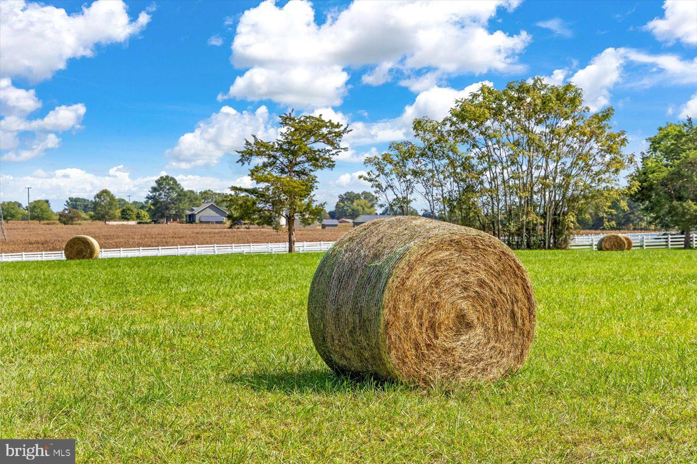 7536 CHANCELLOR ROAD