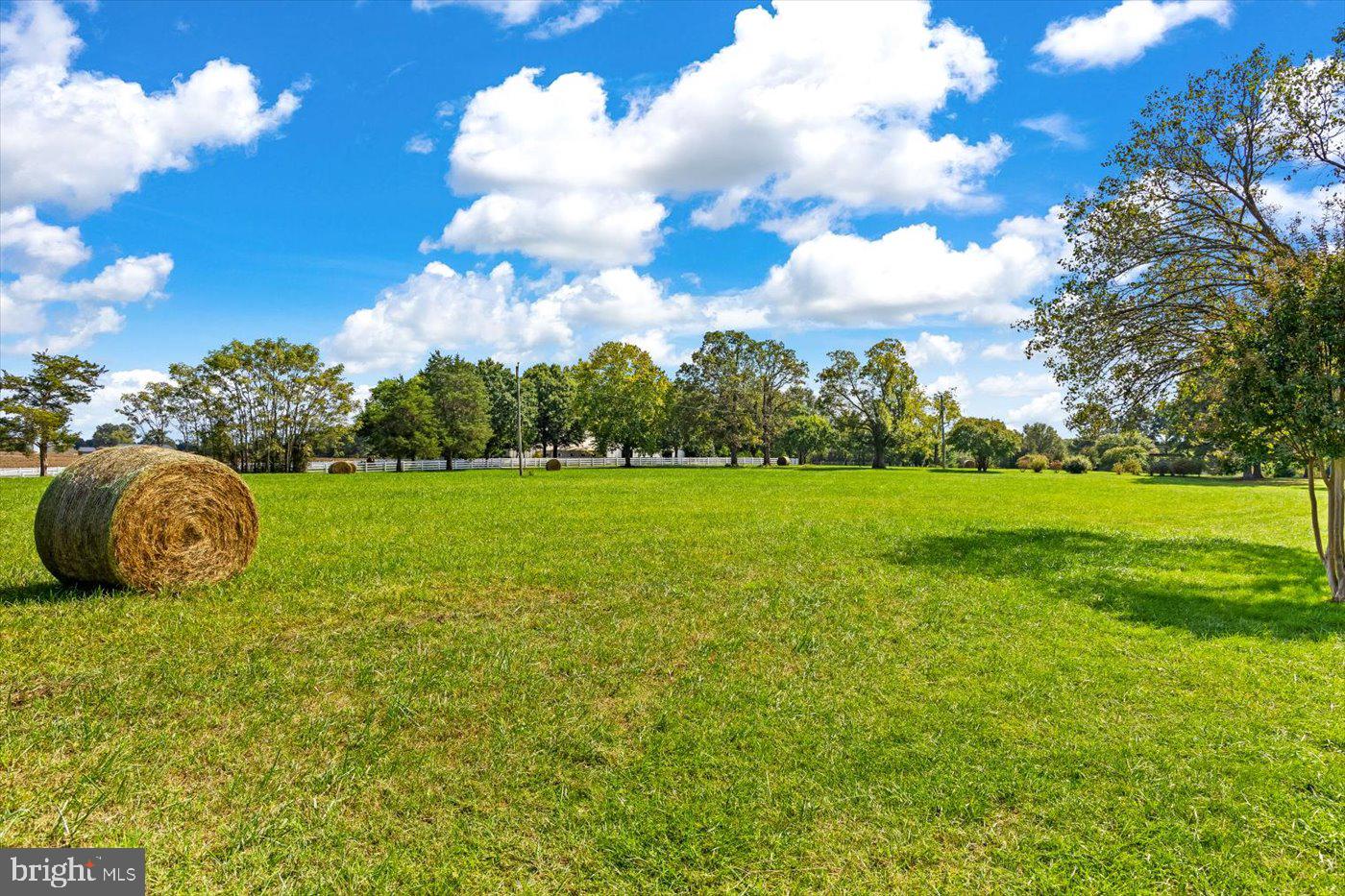 7536 CHANCELLOR ROAD