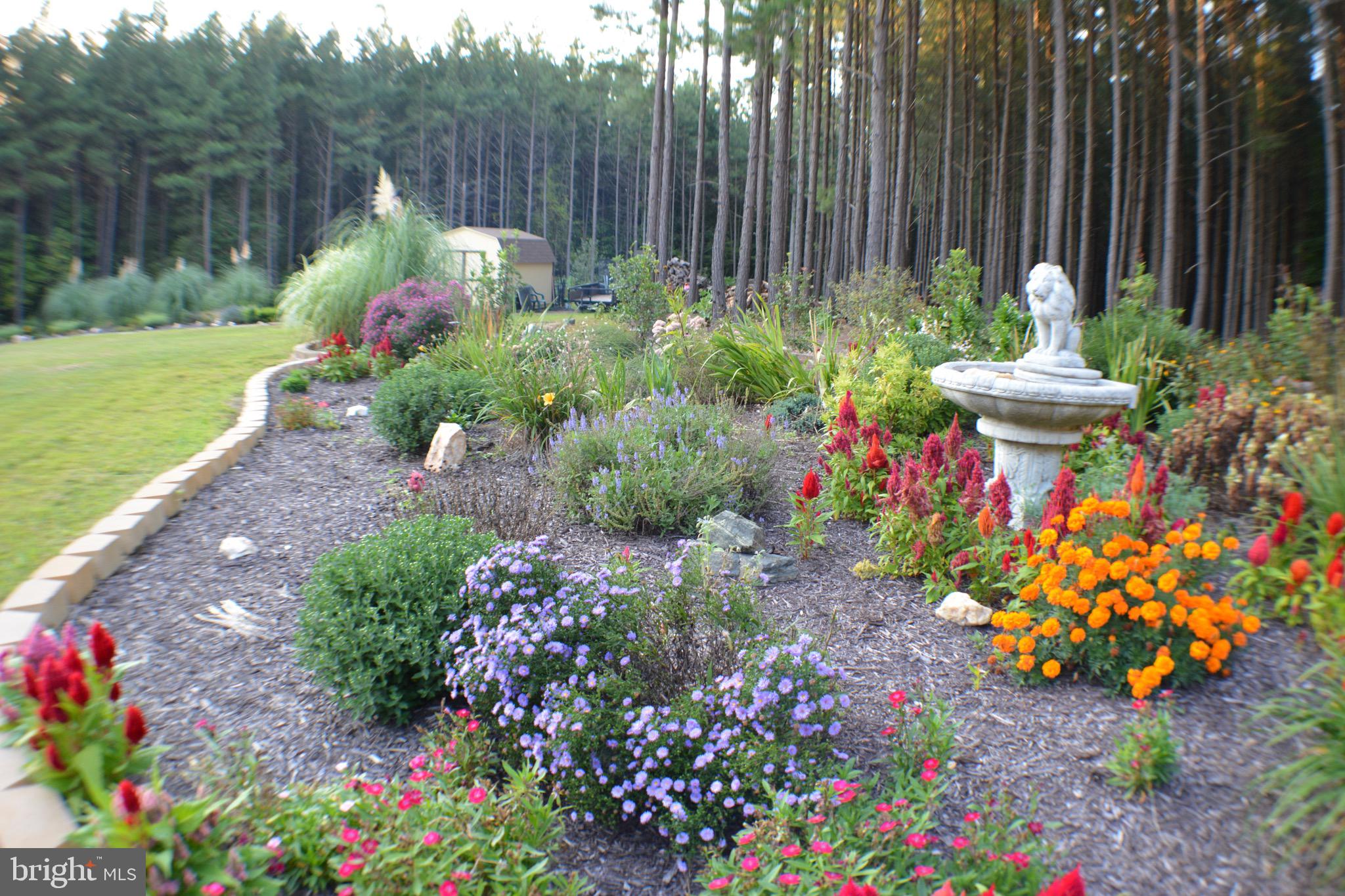 10041 TARRINGTON WAY