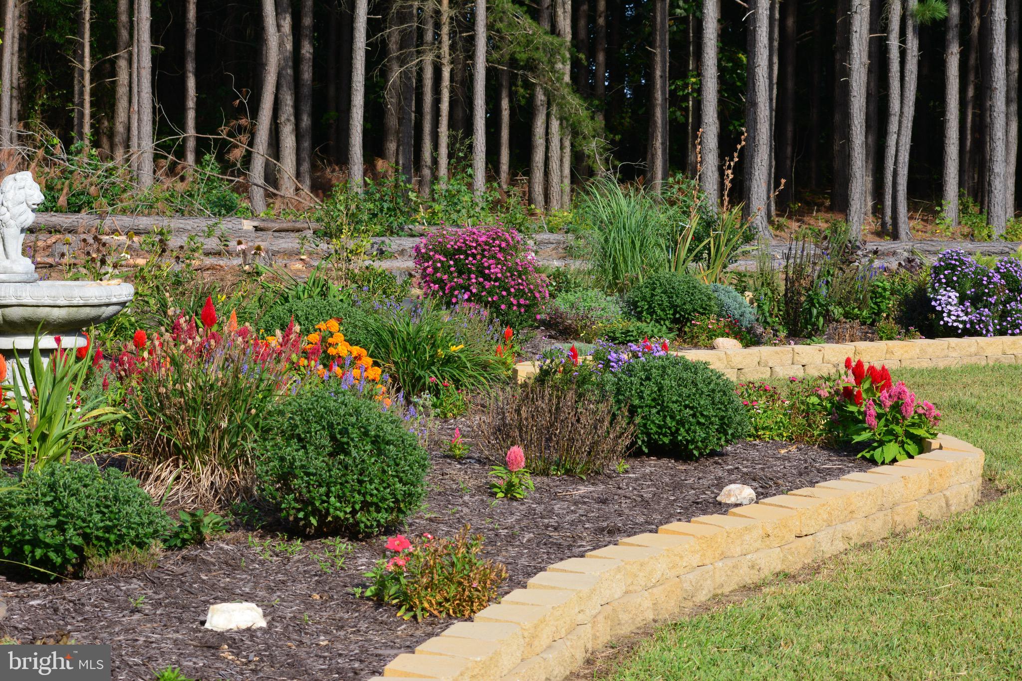 10041 TARRINGTON WAY