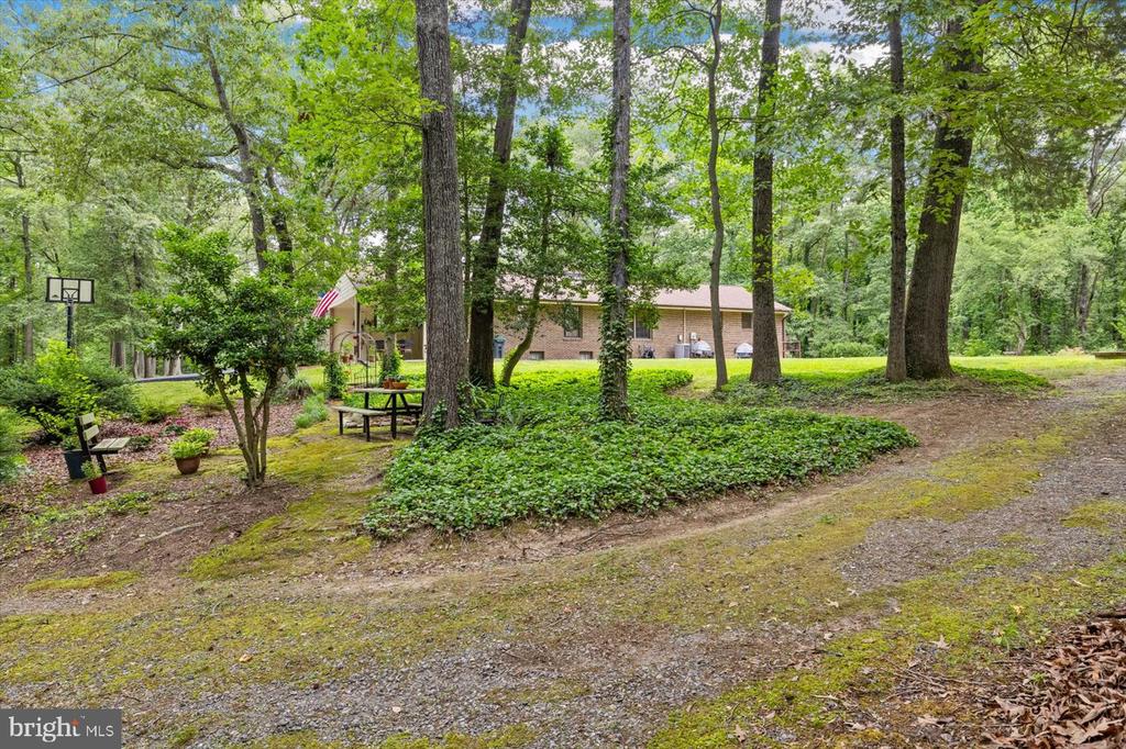 228 DOGWOOD DRIVE