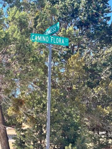 2 CAMINO FLORA Court