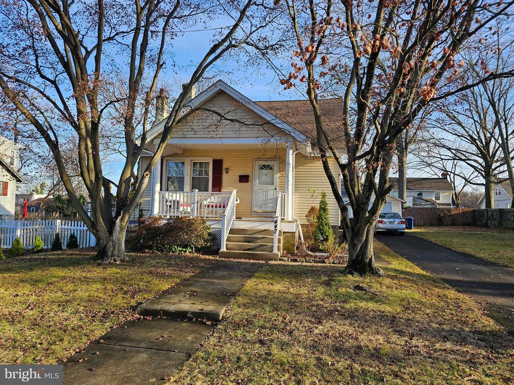 447 CRICKET AVENUE
