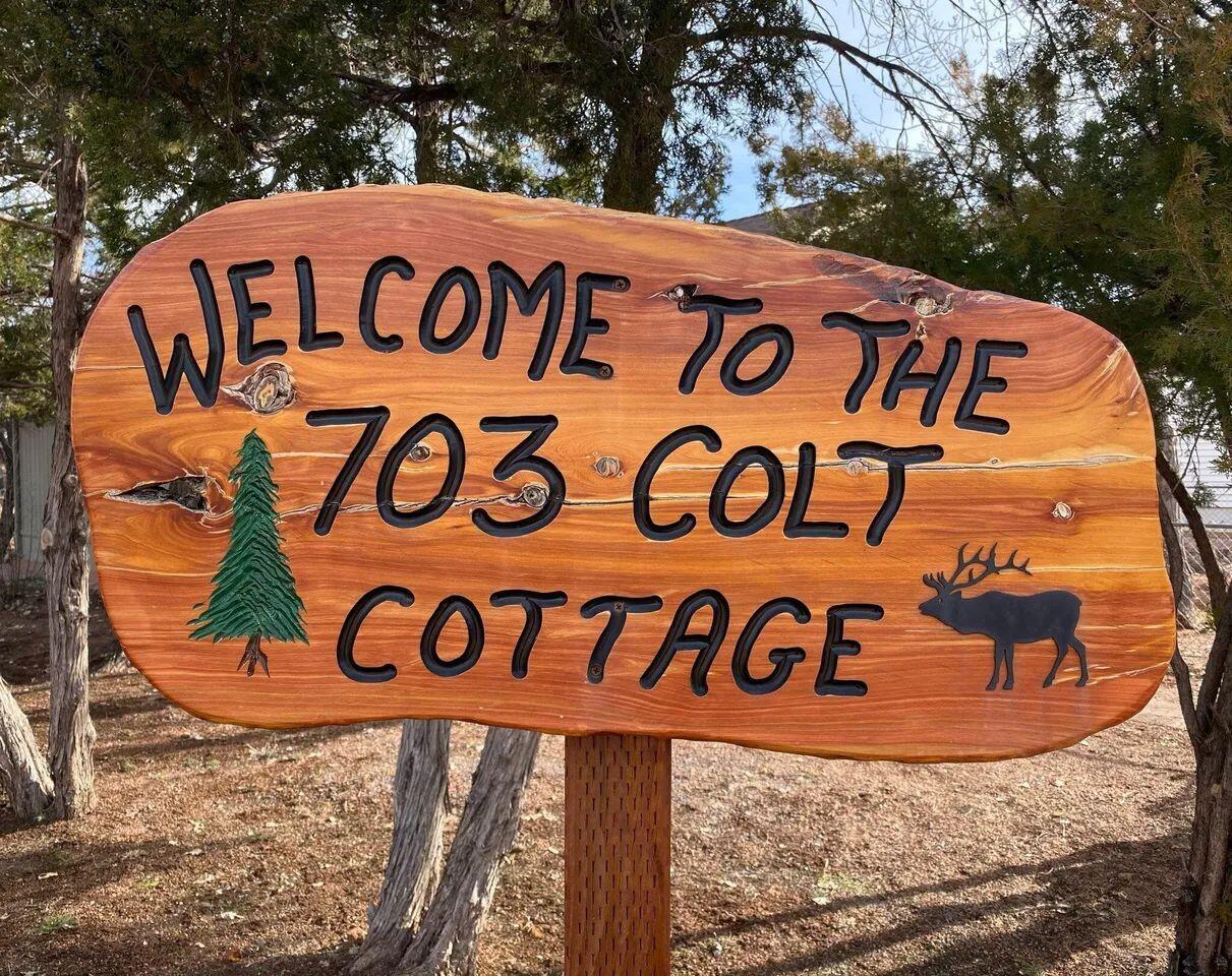 703 W Colt Circle