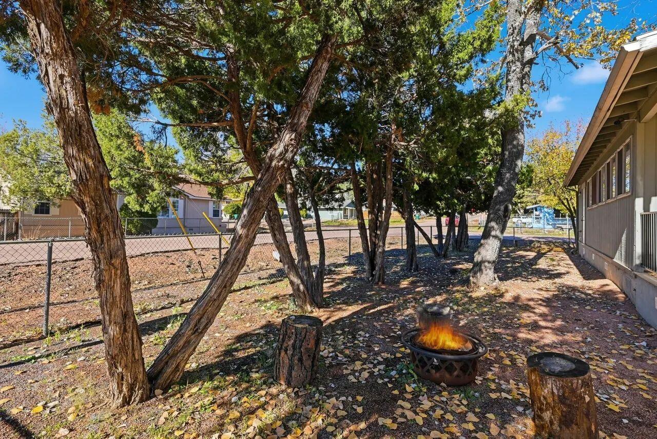 703 W Colt Circle