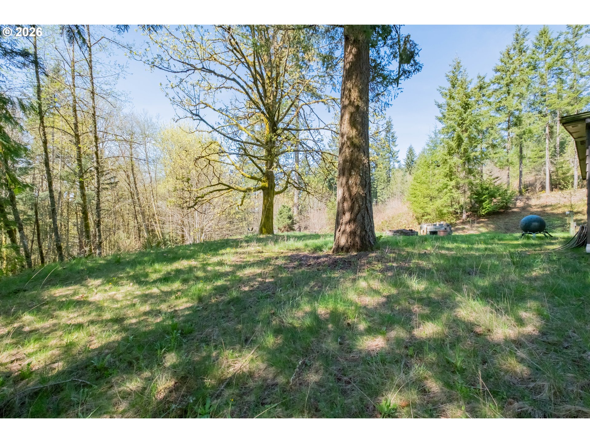 32797 DAN CUPP RD, St. Helens