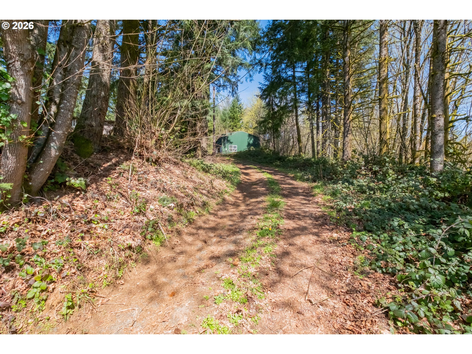 32797 DAN CUPP RD, St. Helens