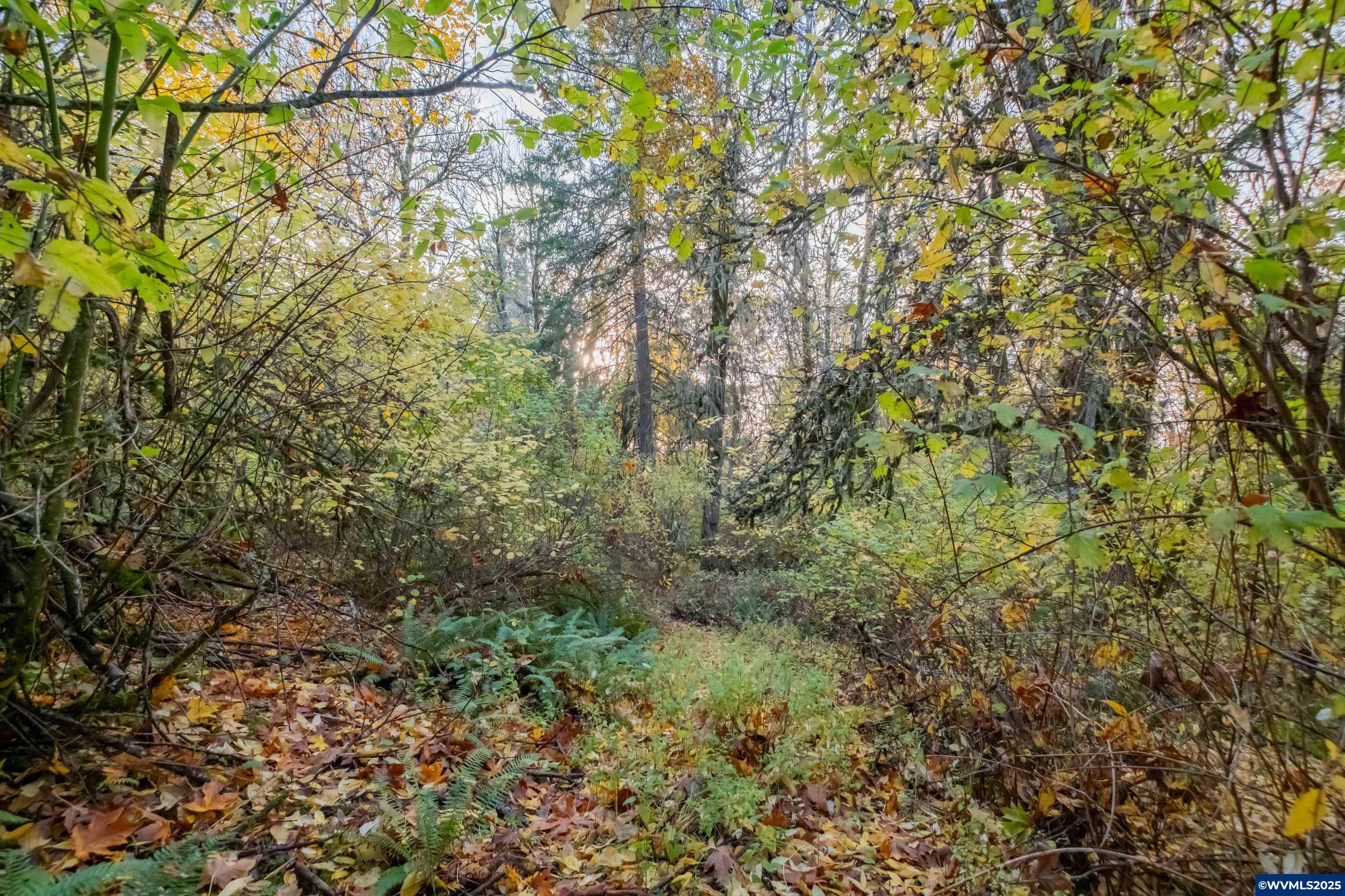 6000 River Rd