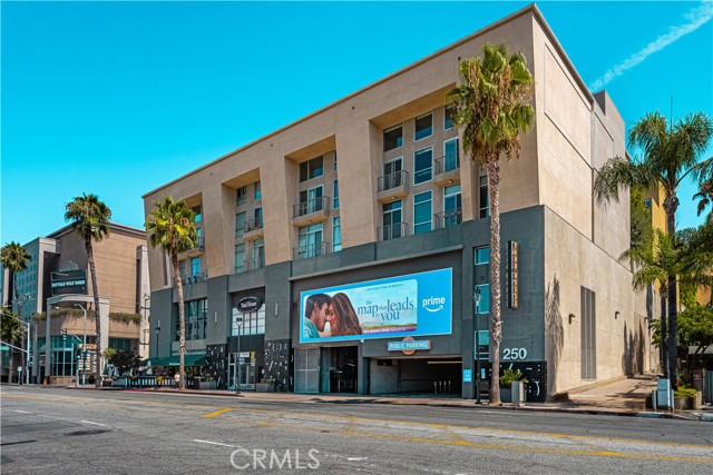 250 N First ST Unit: 322