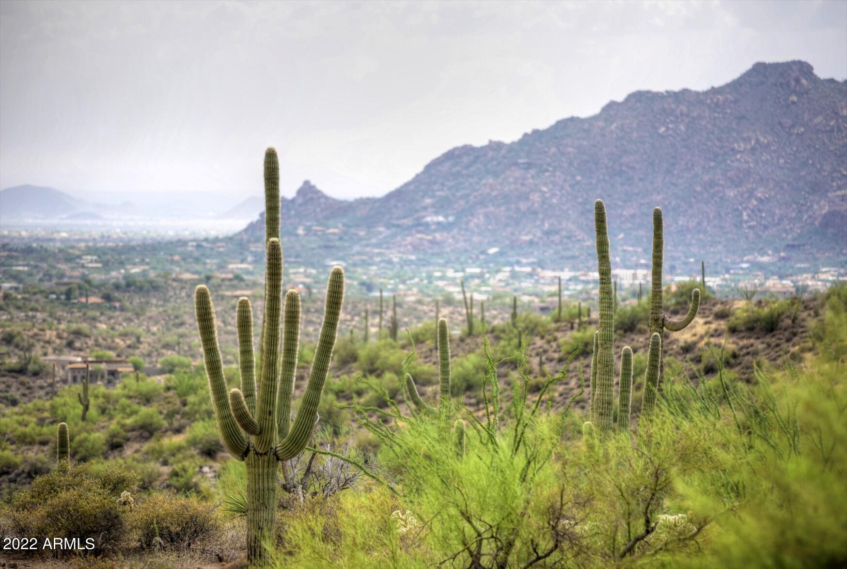 9264 E BRAHMA Road # 12