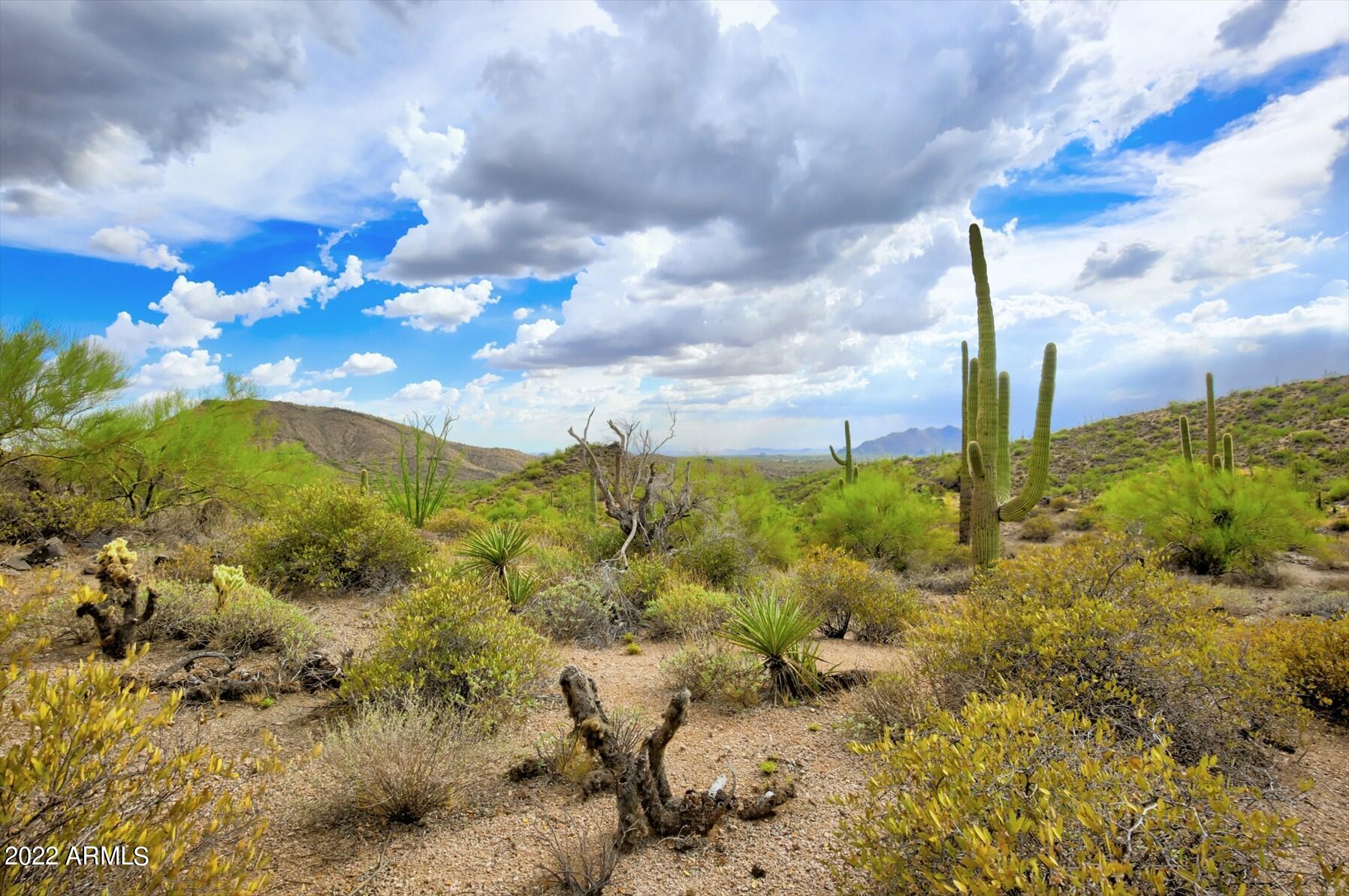 9264 E BRAHMA Road # 12