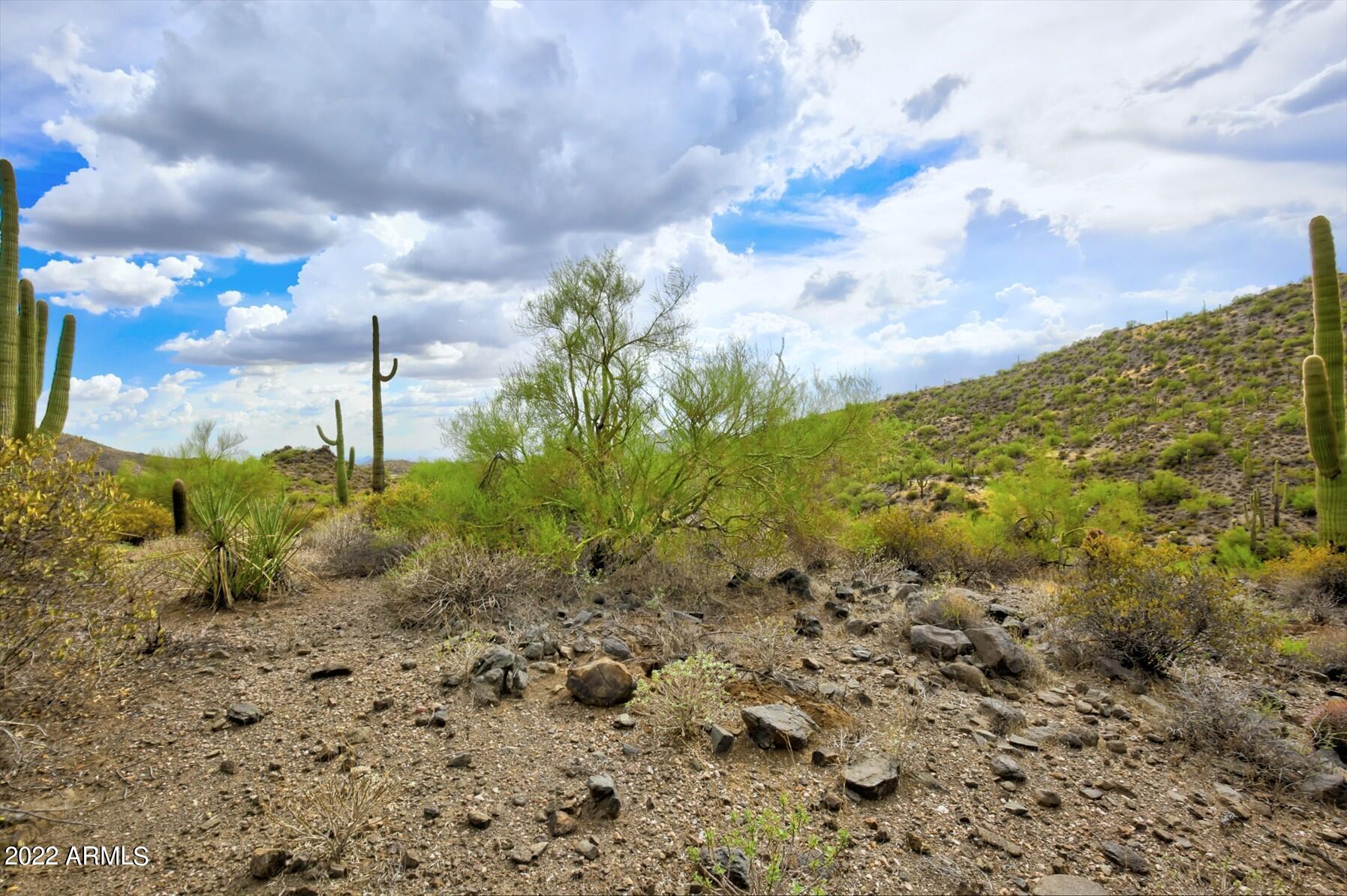 9264 E BRAHMA Road # 12