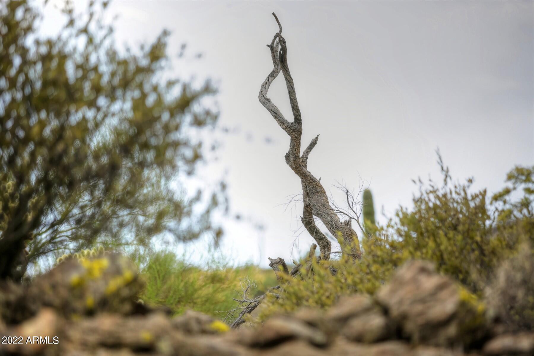 9312 E Brahma Road # 12