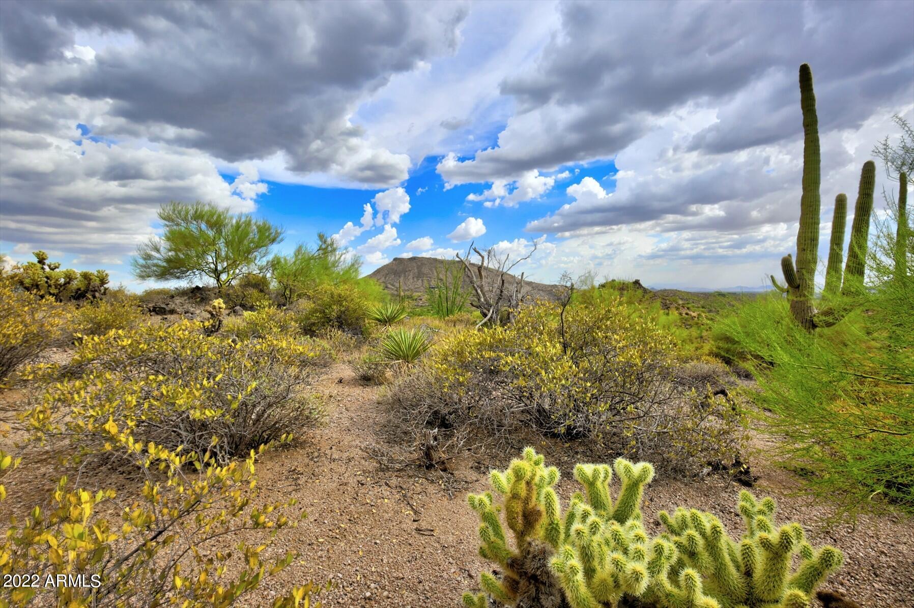 9312 E Brahma Road # 12