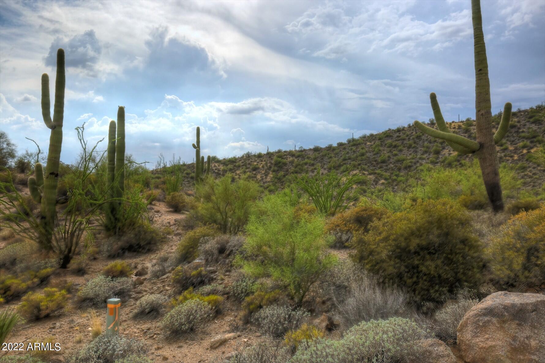 9312 E Brahma Road # 12