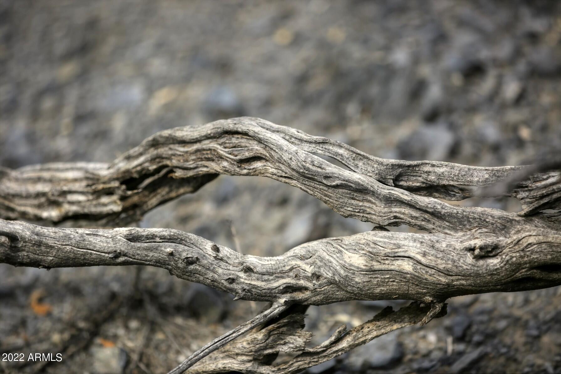 9312 E Brahma Road # 12