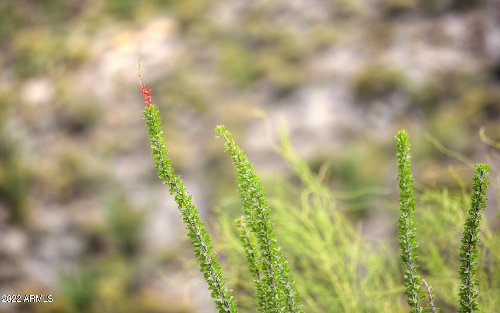 9312 E Brahma Road # 12