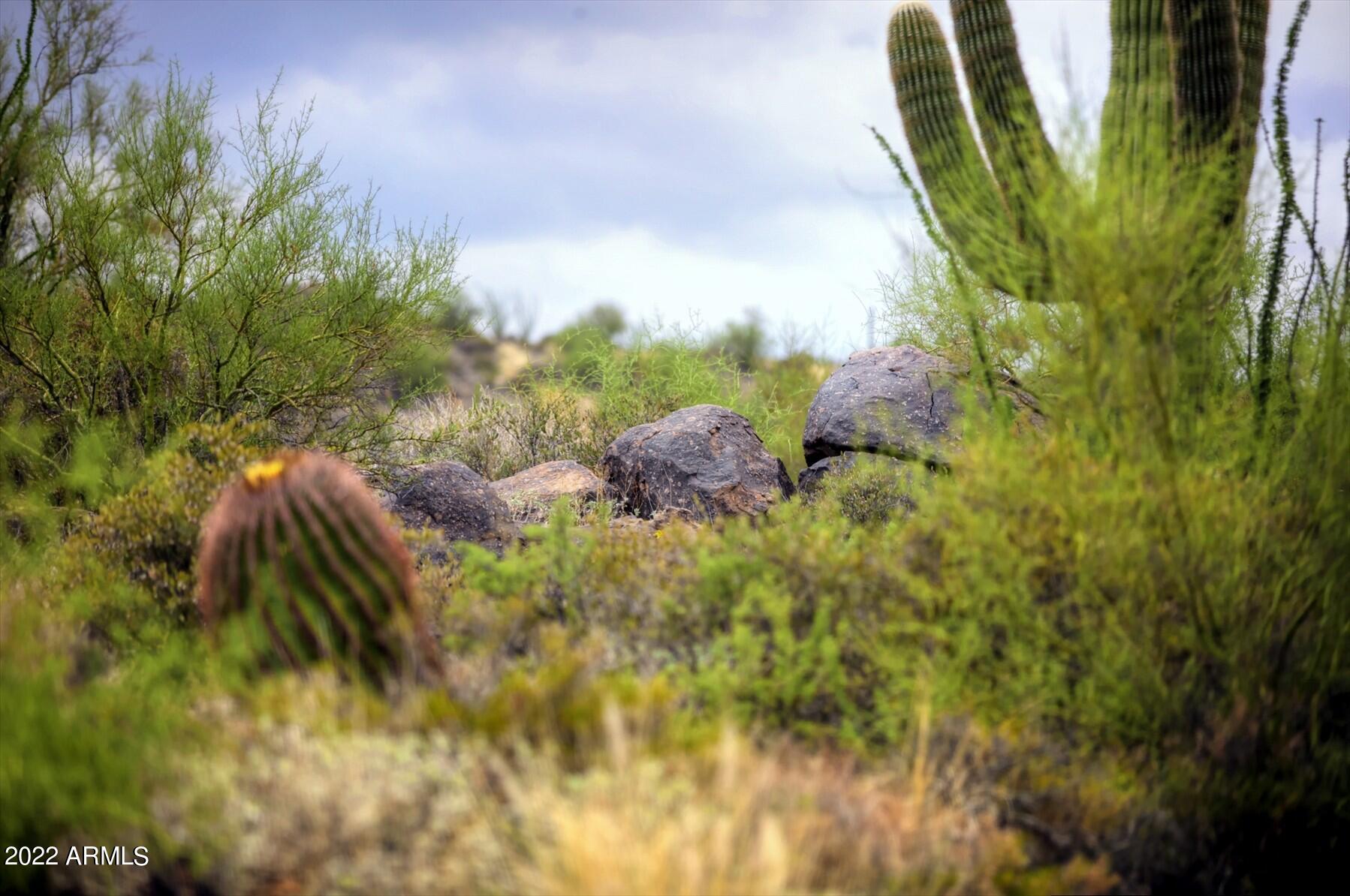 9312 E Brahma Road # 12