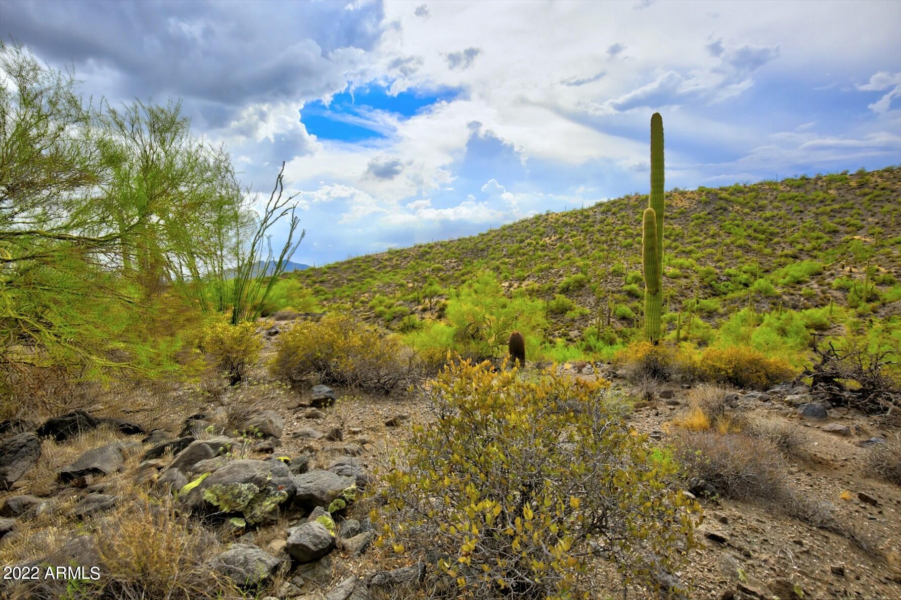 9312 E Brahma Road # 12