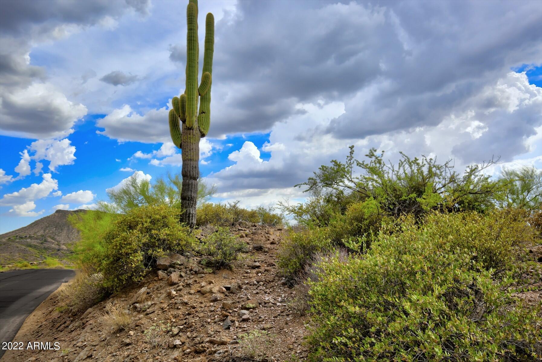 9312 E Brahma Road # 12