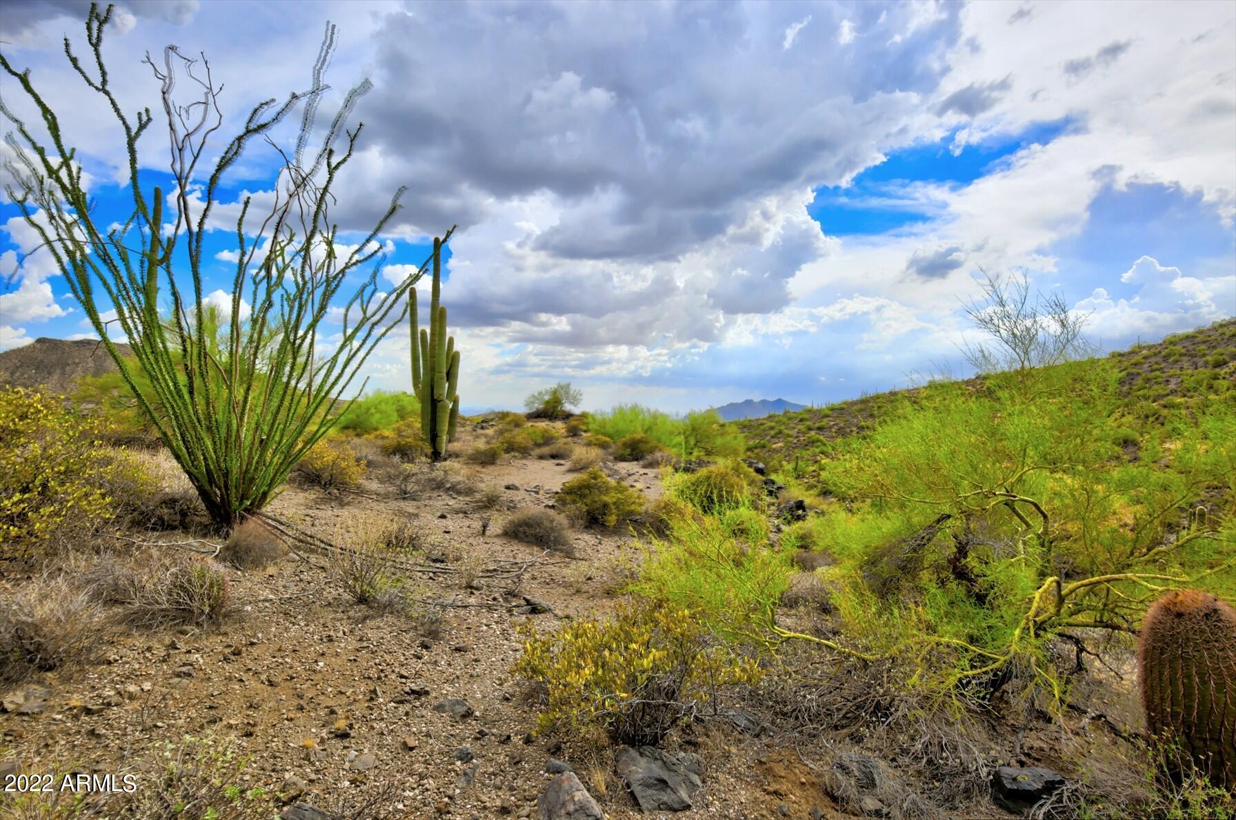 9312 E Brahma Road # 12