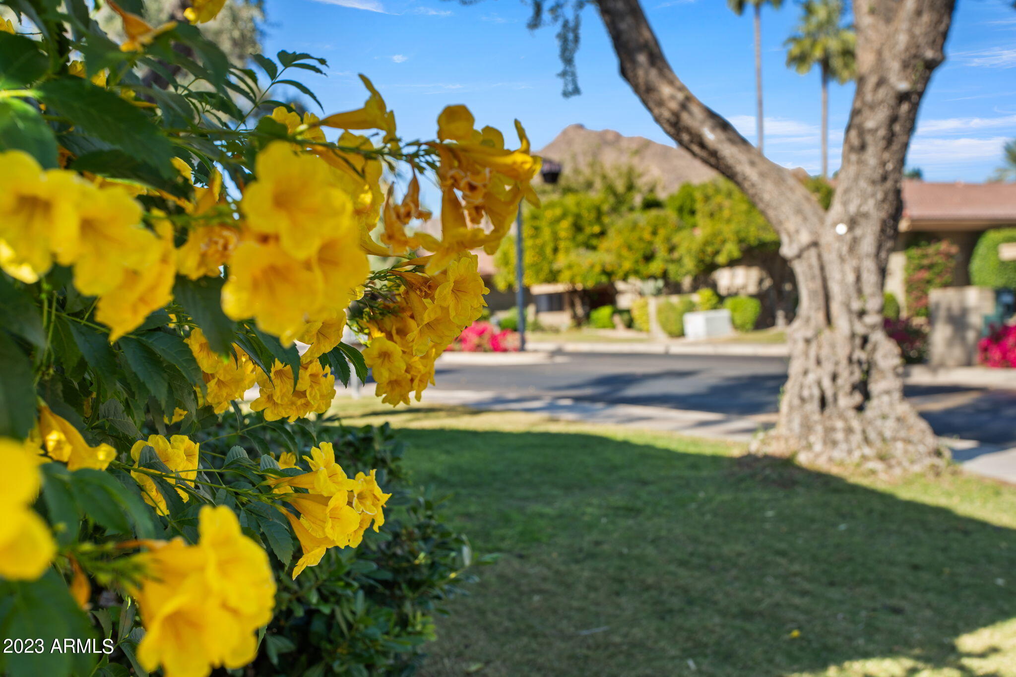 4525 N 66TH Street, 57