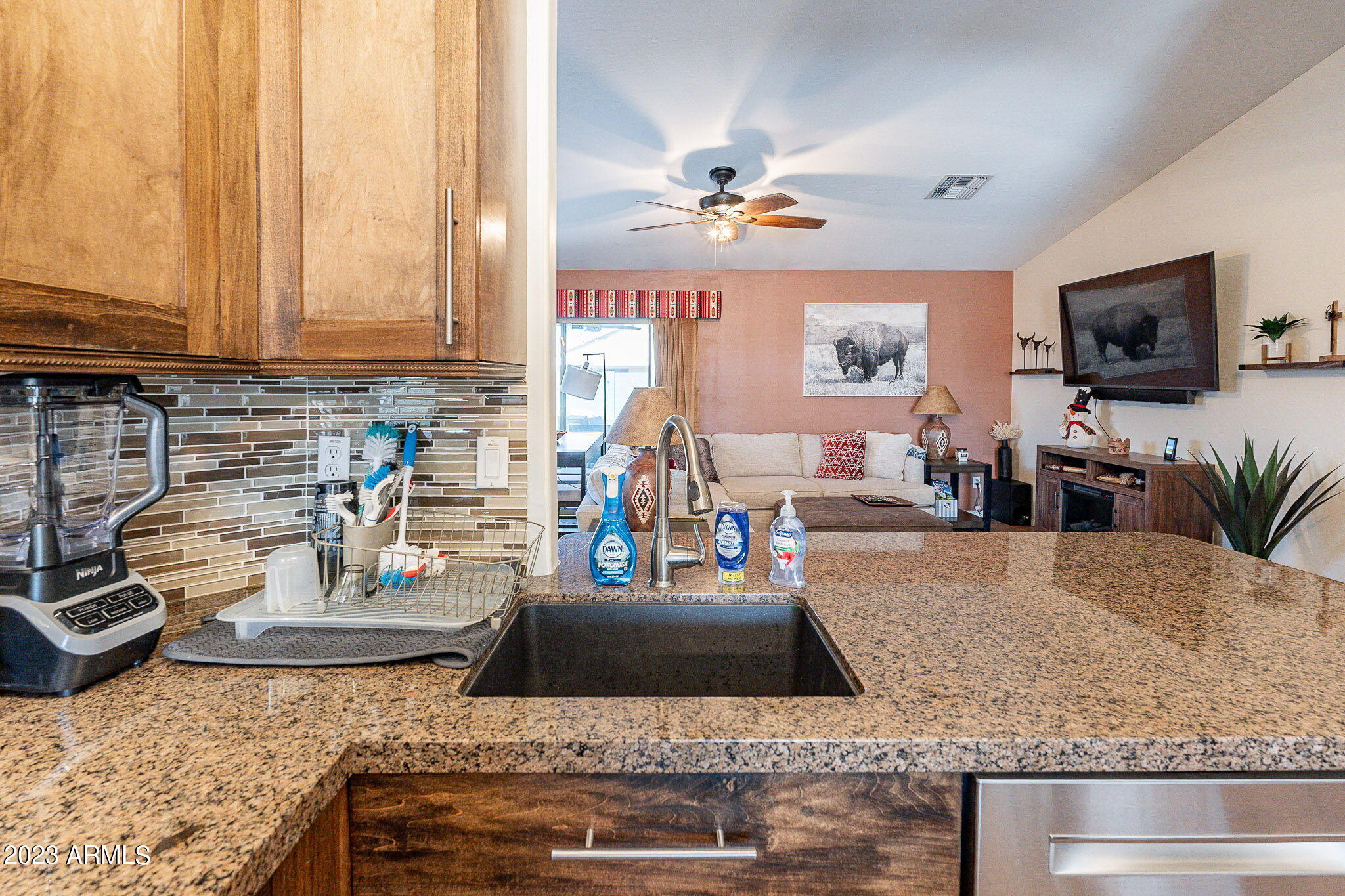 16680 W SAGUARO Lane