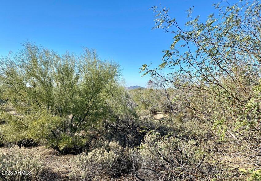 10650 E RISING SUN Drive 7