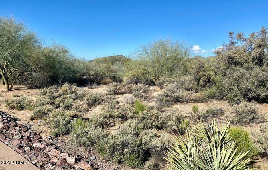 10650 E RISING SUN Drive 7