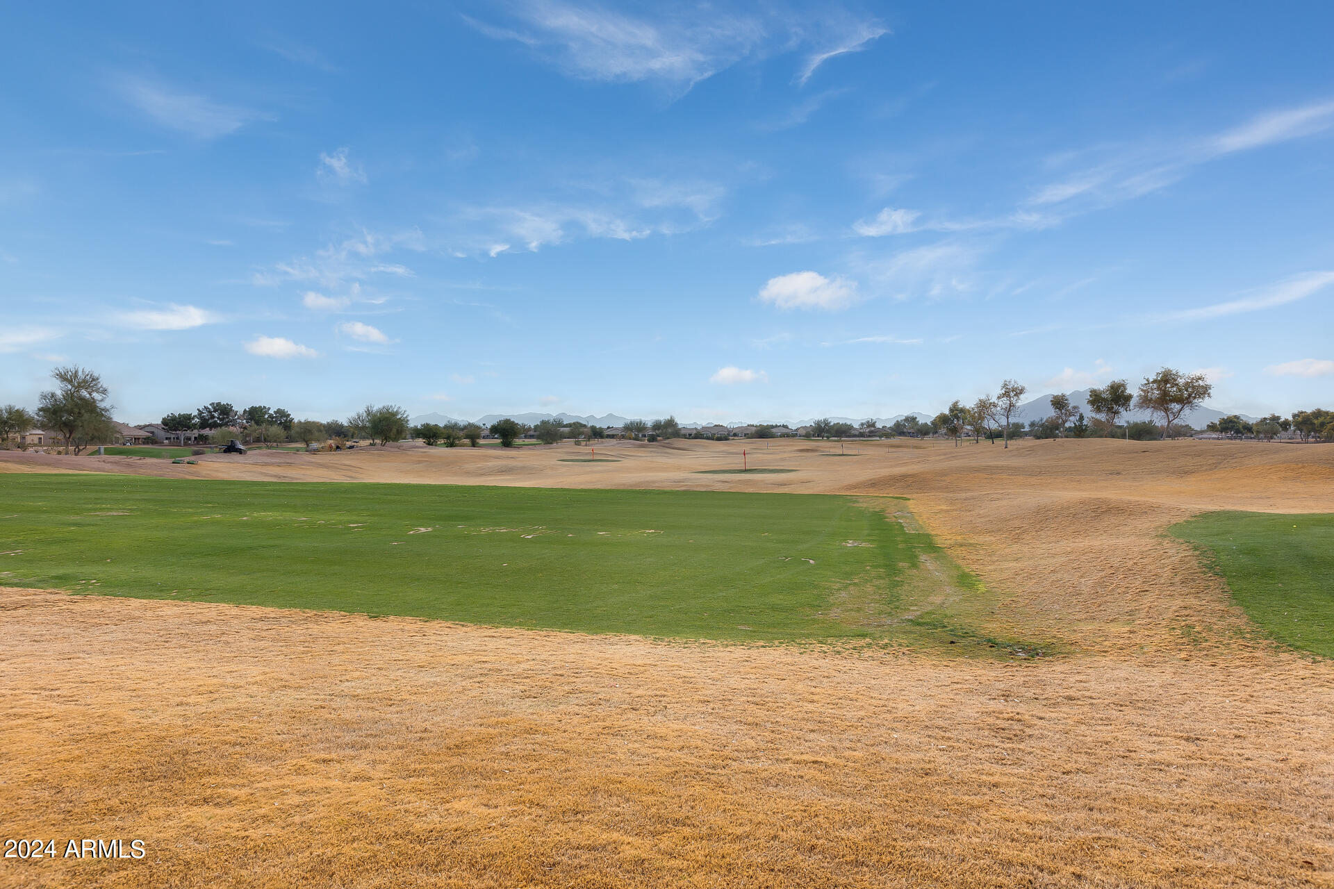 4153 E SOURWOOD Drive