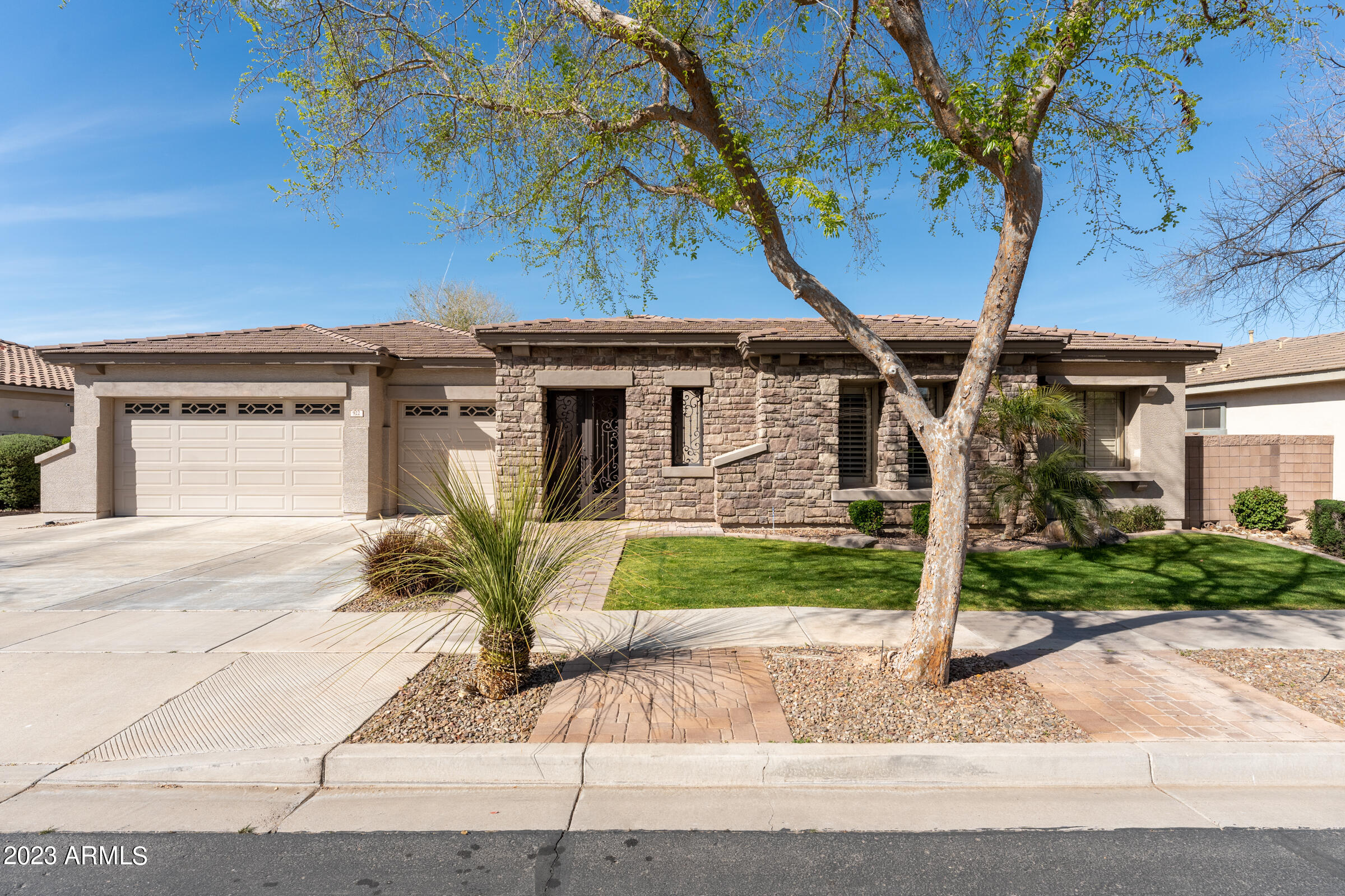 922 W BLUEBIRD Drive
