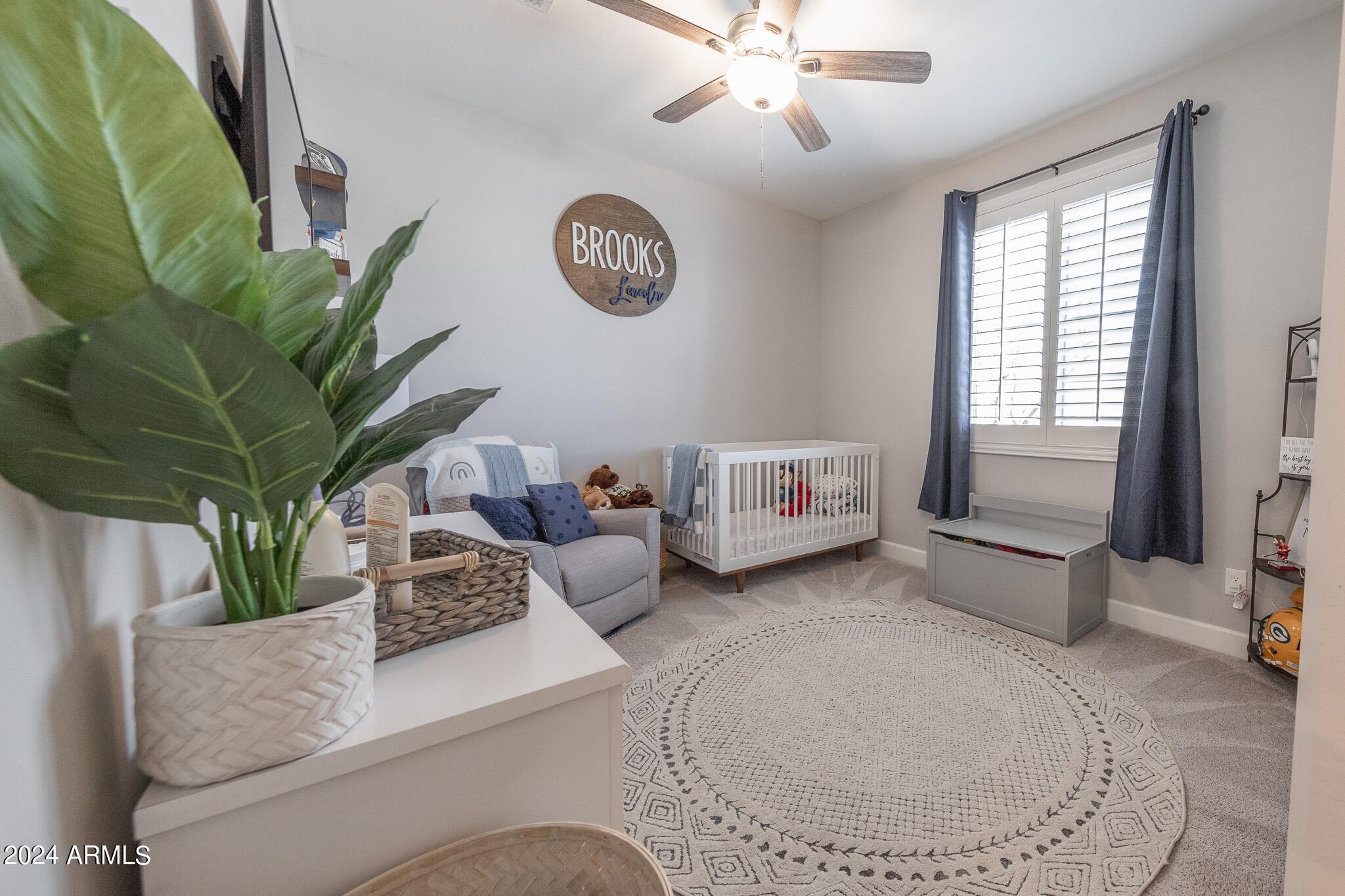 18387 W MOUNTAIN SKY Avenue