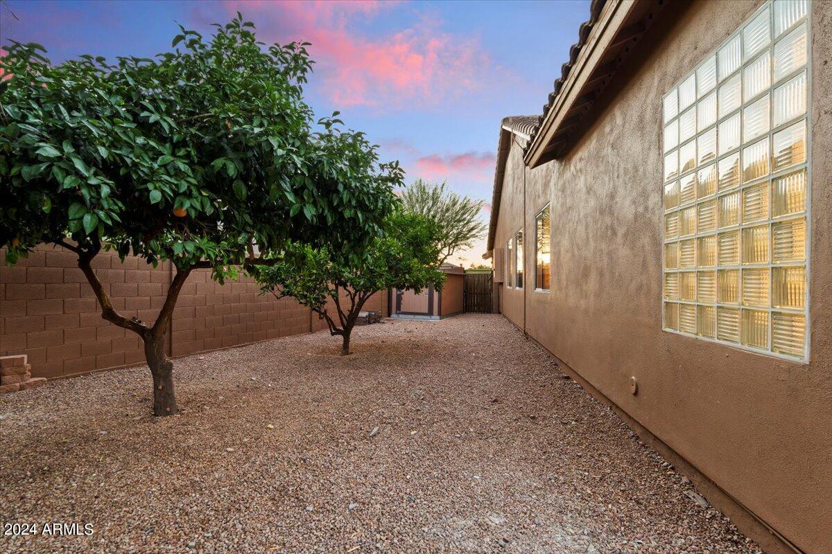 10579 E SALT BUSH Drive