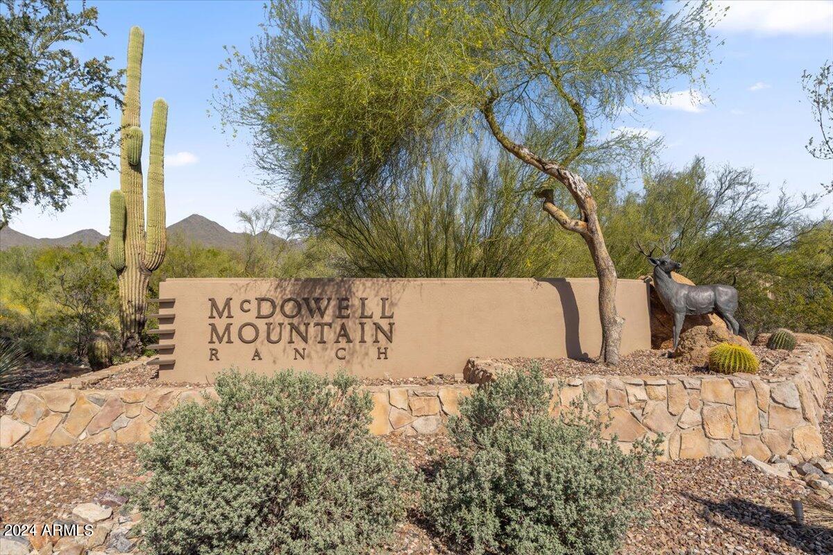 10579 E SALT BUSH Drive