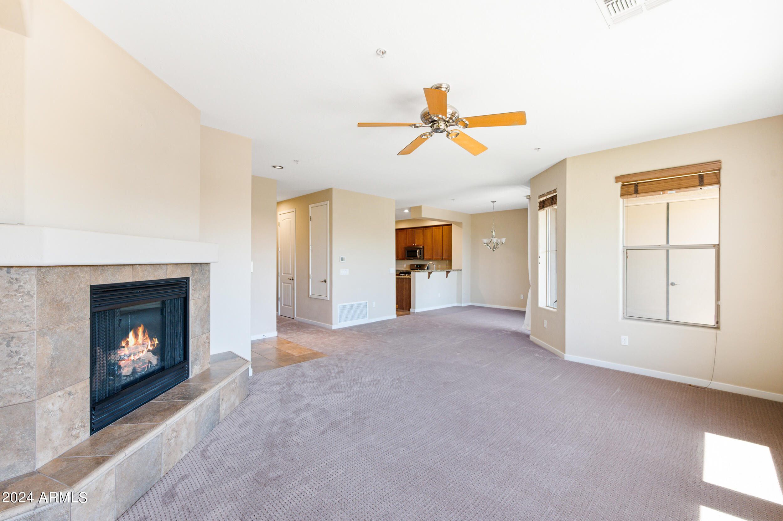 10260 E WHITE FEATHER Lane # 2057
