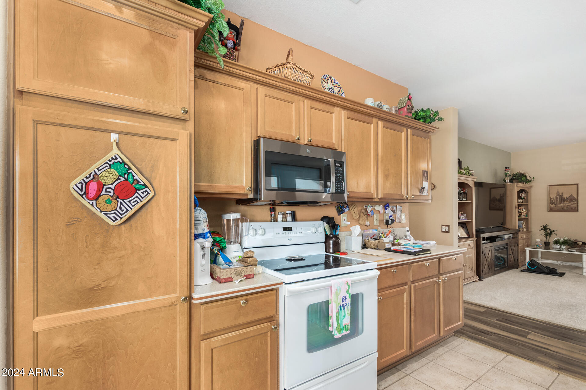 16235 W MOUNTAIN PASS Drive